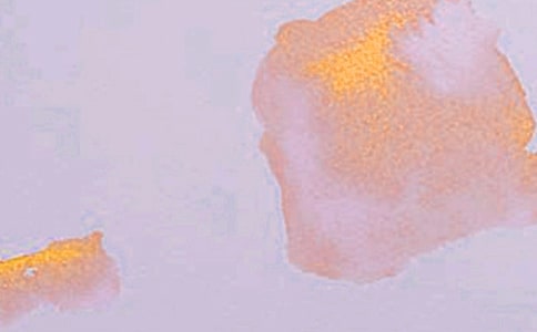 藝術(shù)團工作總結(jié)匯編15篇