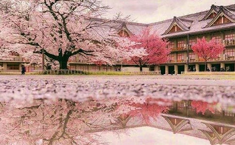 ���x���ݙѻ��ľ���58�l