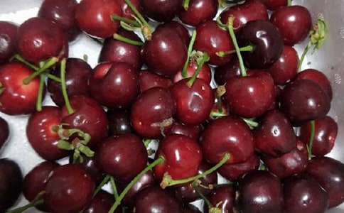 ���l(xi��ng)�ę�������