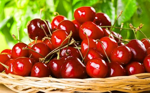 ���҃�(y��u)������(15ƪ)