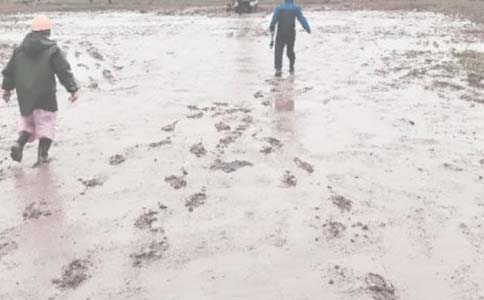 ���＼�g�T�����