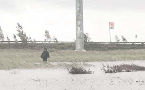 共青團(tuán)工作總結(jié)(油田)