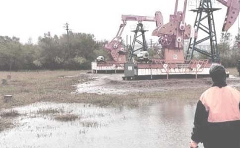 �Ƅ�(d��ng)�����塱�շ�������v��l(f��)չ�����R��(b��o)(����)