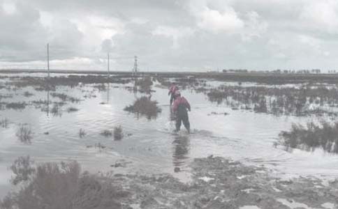 �����F(tu��n)�������Y(ji��)(����)