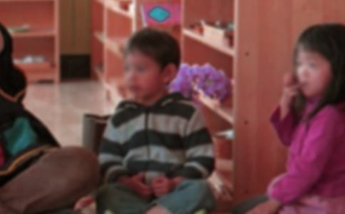 幼兒園工作推進(jìn)情況匯報