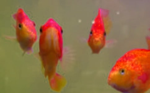 �~��ُ�N��ͬ