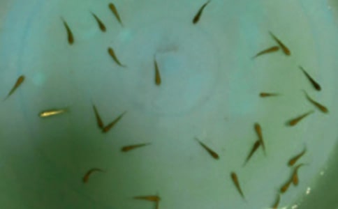 �~(y��)��ُ(g��u)�N(xi��o)��ͬ����