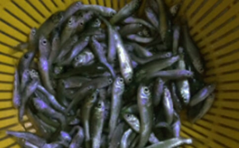 СС�~��W(xu��)��������