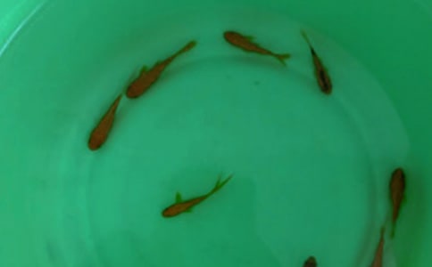 �~��ӆُ��ͬ