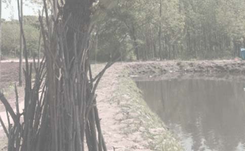 �r(n��ng)���~���а���ͬ����9ƪ�����T��