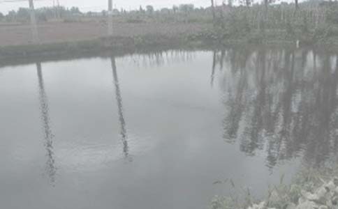 �~(y��)���а���ͬ����3ƪ[��Ʒ]