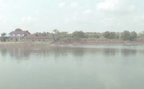 �~���B(y��ng)ֳ�а���ͬ