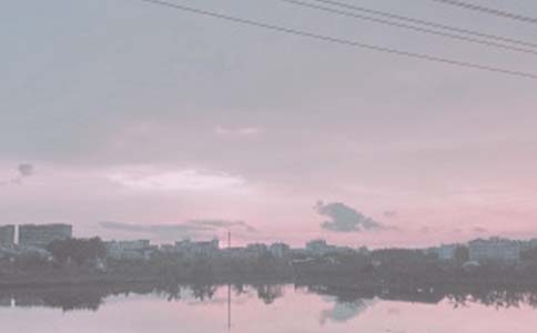 魚(yú)塘承包合同