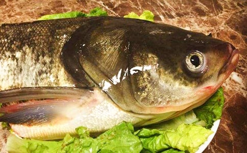 �����~(y��)�^����