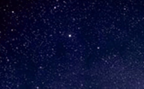 ��������������ϵ������