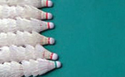 精選打羽毛球的日記3篇