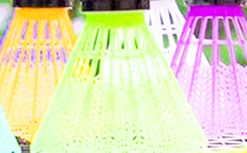 精選打羽毛球小學(xué)生作文300字合集九篇