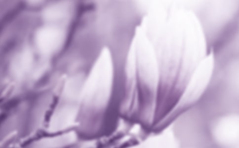 ٝ�����m���Ľ�(j��ng)��Ԋ��140��