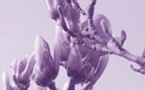 �茑���m��С�W(xu��)�����ģ����x57ƪ��