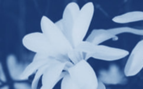 �P(gu��n)�����m����(y��u)�����ģ�ͨ��28ƪ��