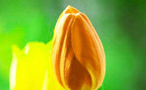 ���������ă�(y��u)��(6ƪ)