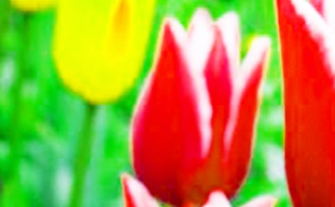 ����������15ƪ[���T]