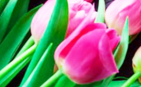 �茑������ă�(y��u)�����ģ�ͨ��44ƪ��