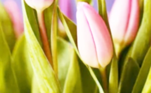 �����マ(y��u)������5ƪ