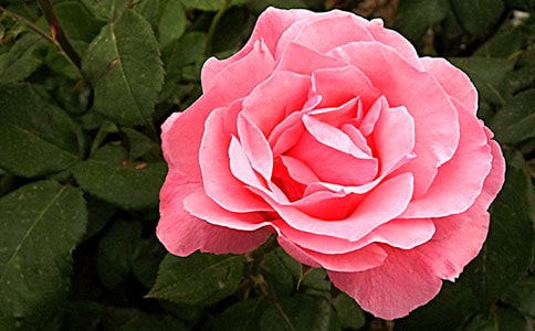 �P(gu��n)���¼�����