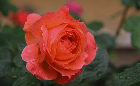 ���^�¼��@����