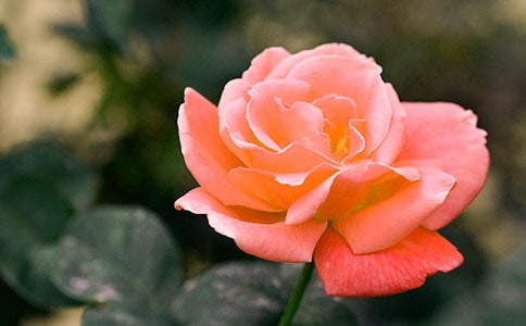 ���¼�������