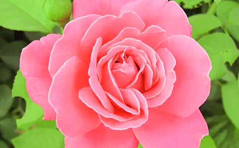 ���x�����¼����ľ��Ӵ�R��60��