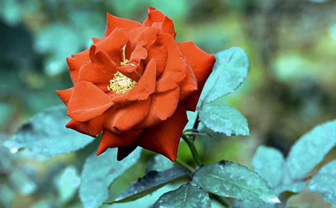 2023�꾫�x�����¼����ľ��Ӽ��\61�l