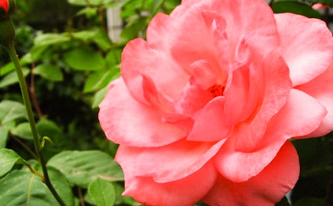 �¼����_�ŕr�Ę��ӵľ��Ӵ�ȫ