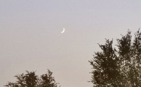 描寫月亮的好詞好句好段摘抄