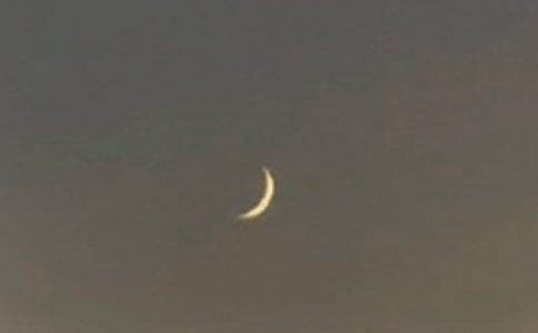 ��������Ը