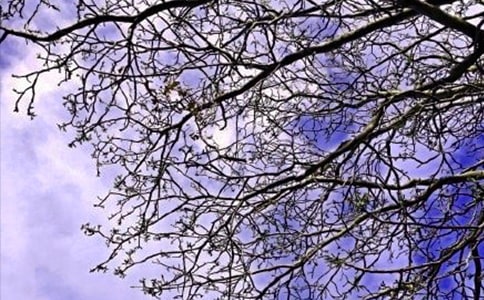 �����]��2023��ÿ��һ���簲���Z�Z䛴󼯺�50�l