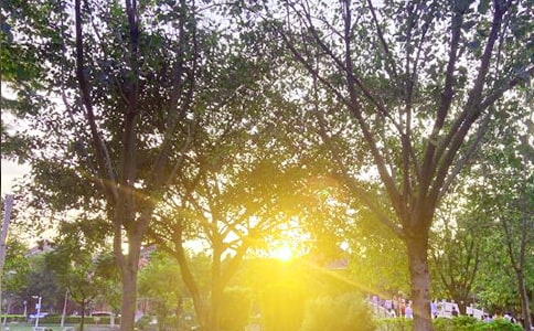 早安正能量句子(薦)