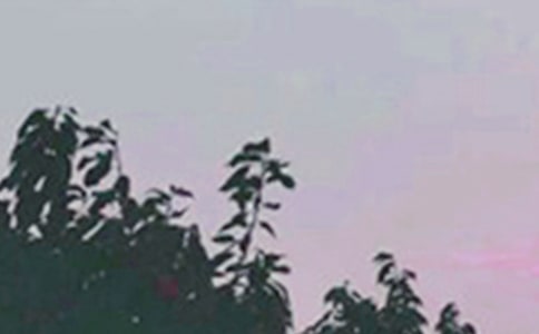 2023年早安共勉句子QQ56句