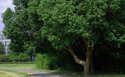 ����(sh��)�á�ÿ��һ���簲���Z(y��)�Z(y��)�ժ�37��