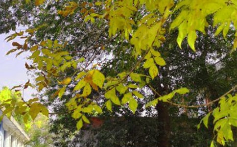 ��(j��ng)��ÿ��һ���簲���Z�Z�ժ�31��