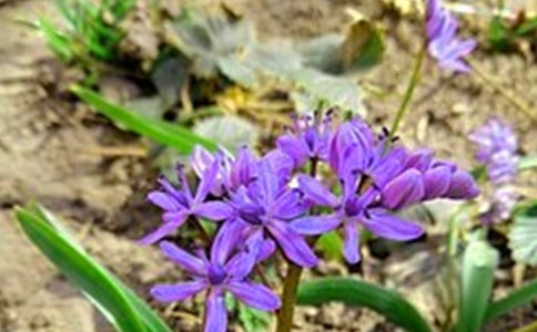 精選優(yōu)美的早安心語(yǔ)語(yǔ)錄27條