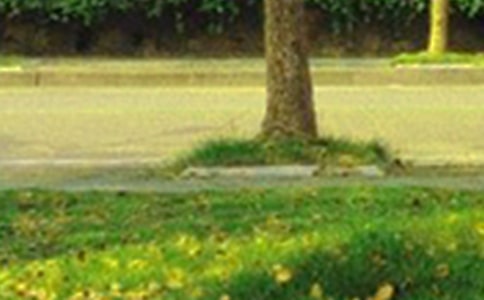 2020年經(jīng)典溫馨的早安問候語語錄集錦24條