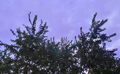 ���εĄ��˵��簲���Z�Z䛅R��60�l