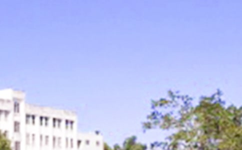 經(jīng)典適合早上發(fā)的早安問候語語錄大合集65條