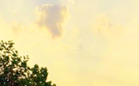 ��(j��ng)���簲�������ľ���