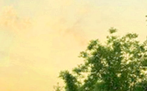 ��(j��ng)���m�����ϰl(f��)���簲���Z(y��)�Z(y��)�49��