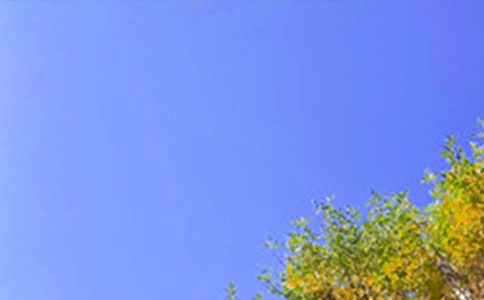 ��(j��ng)���m�����ϰl(f��)���簲���Z�Z�21�l