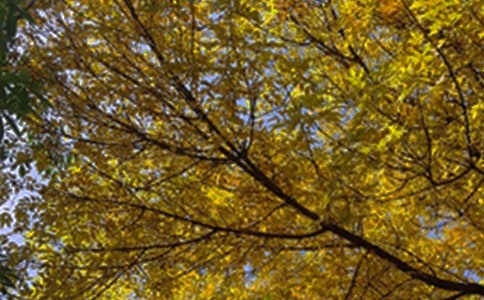 ��(j��ng)���簲������Ӷ��źϼ�29��