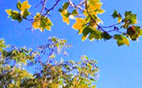 ÿ��һ���簲���Z�Z�30��